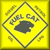 Fuel Cat - great when you cant get high octane fuel!!