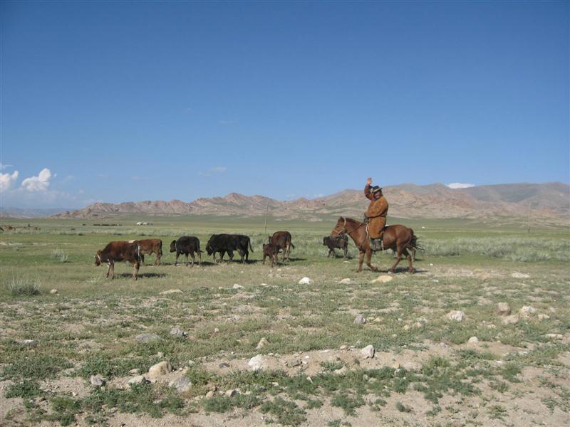 Local mongolian farmer